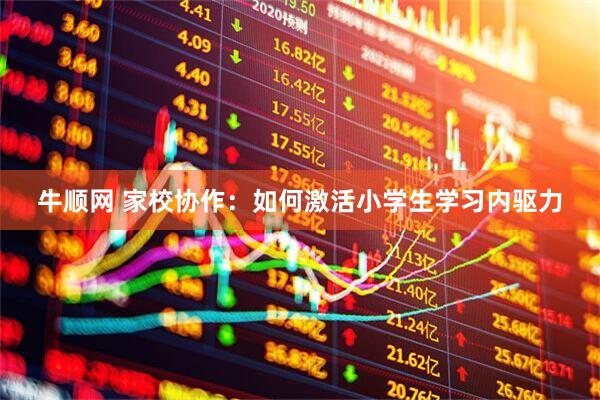 牛顺网 家校协作：如何激活小学生学习内驱力