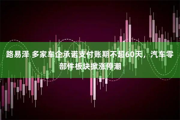 路易泽 多家车企承诺支付账期不超60天，汽车零部件板块掀涨停潮