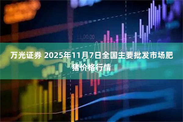 万光证券 2025年11月7日全国主要批发市场肥猪价格行情