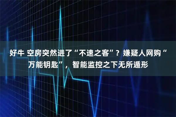 好牛 空房突然进了“不速之客”？嫌疑人网购“万能钥匙”，智能监控之下无所遁形